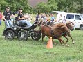 IMG_4148