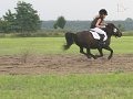 IMG_4977