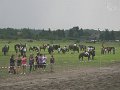 IMG_5011