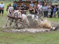 IMG_5157a