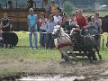 IMG_5182