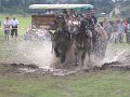 IMG_5209