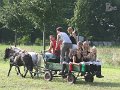 IMG_5239