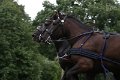 20110717_163857_IMG_8431
