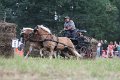 20110717_164944_IMG_8496