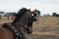 20110807_143813_IMG_9575