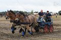 20110807_144458_IMG_9612