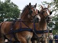 20110807_145459_IMG_9667