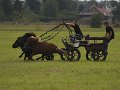 20110814_163147_IMG_0232