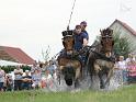 20110821_145606_IMG_0694