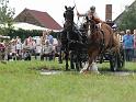 20110821_151157_IMG_0765