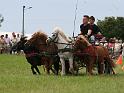 20110821_152612_IMG_0815