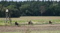 20110828_134548_IMG_0969