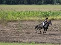 20110828_134602_IMG_0971