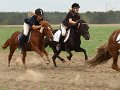 20110910_141551_IMG_1744
