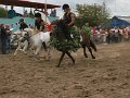 20110910_143354_IMG_1761