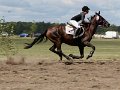 20120812_125408_IMG_4484