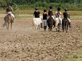 20120812_130653_IMG_4520