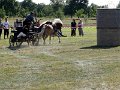 20120812_153758_IMG_5003