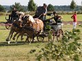 20120812_153817_IMG_5010