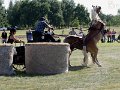 20120812_153827_IMG_5023