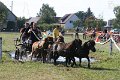 20120819_154957_IMG_5630