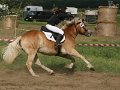 20120908_135720_IMG_6039