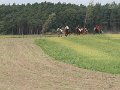 20120908_140641_IMG_6044