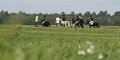 20120908_141722_IMG_6092