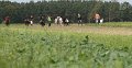 20120908_141836_IMG_6094