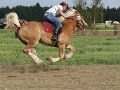 20120908_144004_IMG_6203