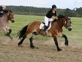 20120908_152847_IMG_6332