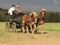 20120908_163708_IMG_6597