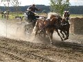20120908_163913_IMG_6620
