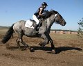 20130907_135607_IMG_0714