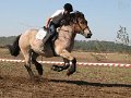 20130907_135611_IMG_0718