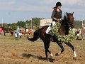 20130914_150626_IMG_1173