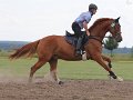 20140810_132611_IMG_6792