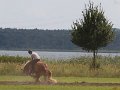 20140810_141642_IMG_6929