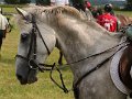 20140810_152312_IMG_7035