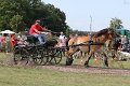 20140810_155344_IMG_7054