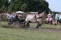 20140810_155555_IMG_7058