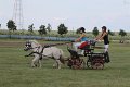 20140810_160951_IMG_7094