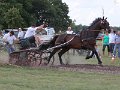 20140810_161750_IMG_7134