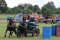 20140810_162154_IMG_7152