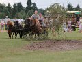 20140810_164148_IMG_7171