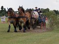 20140810_164500_IMG_7189