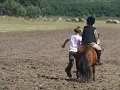 IMG_0344