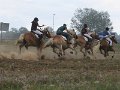 20140824_144926_IMG_7887