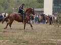 20140824_145948_IMG_7946